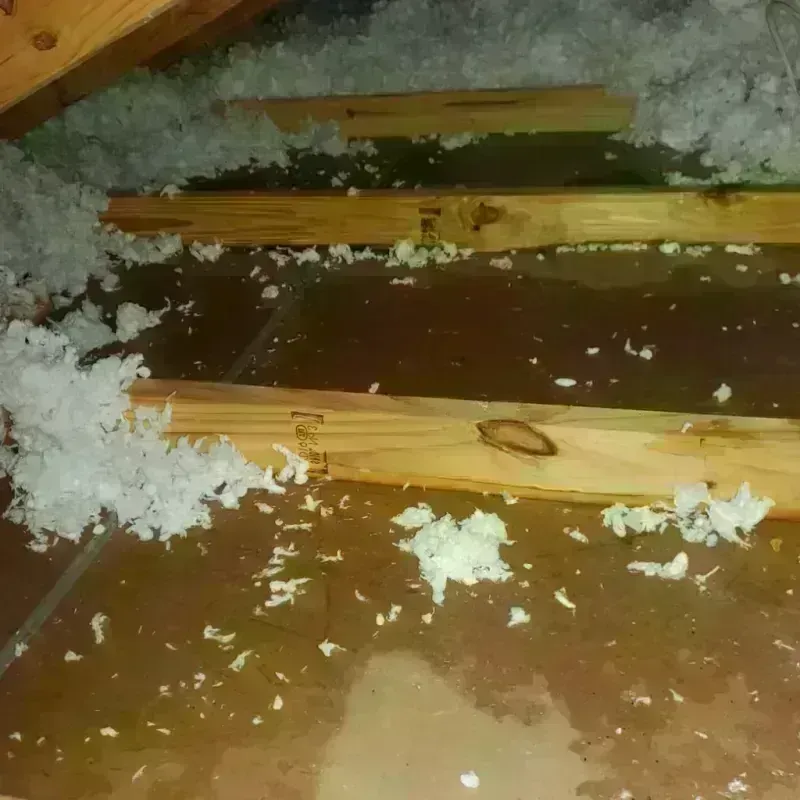 Attic Water Damage in White Rock, NM